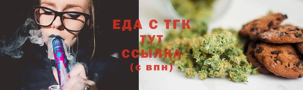 индика Протвино