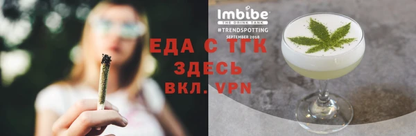 индика Протвино