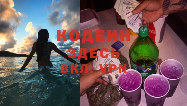 индика Протвино