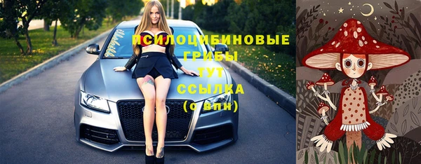 индика Протвино