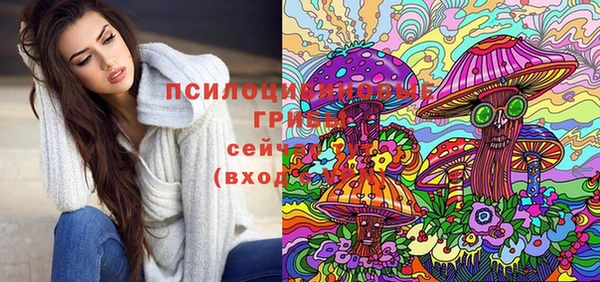 мдпв Приозерск