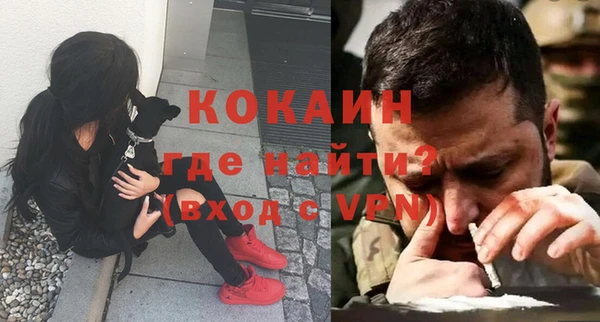 индика Протвино