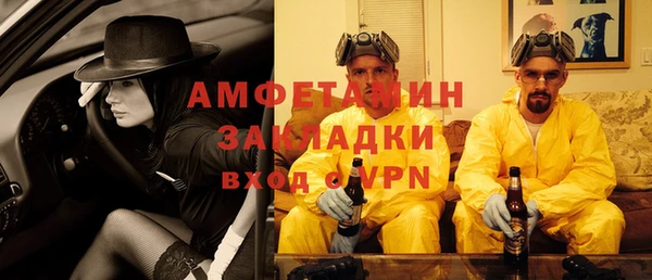 индика Протвино